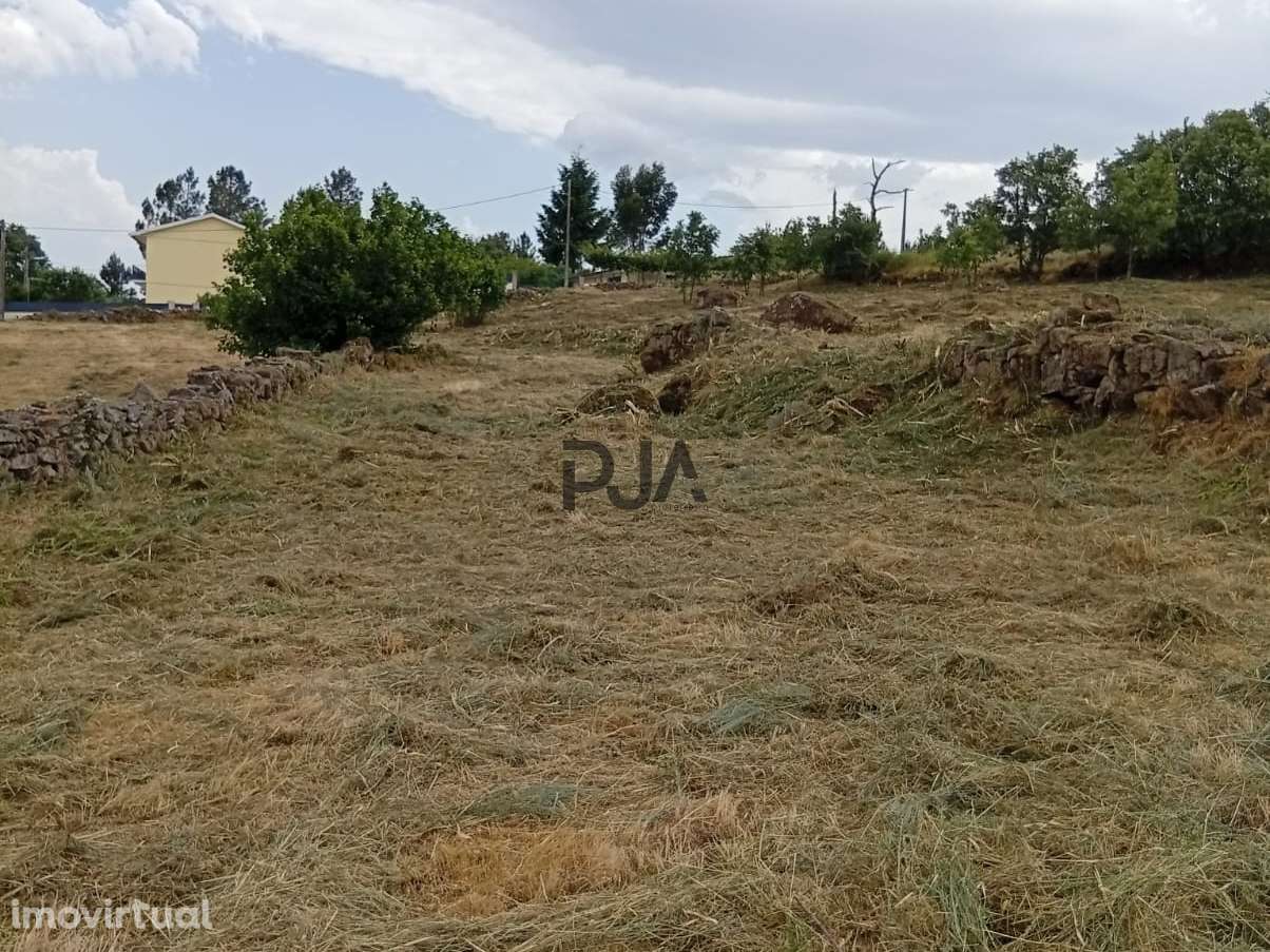 Terreno agrícola em Matança, Fornos de Algodres - Grande imagem: 2/8