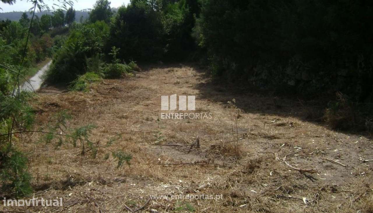 Venda Terreno, Vila Boa Quires, Marco de Canaveses - Grande imagem: 2/9