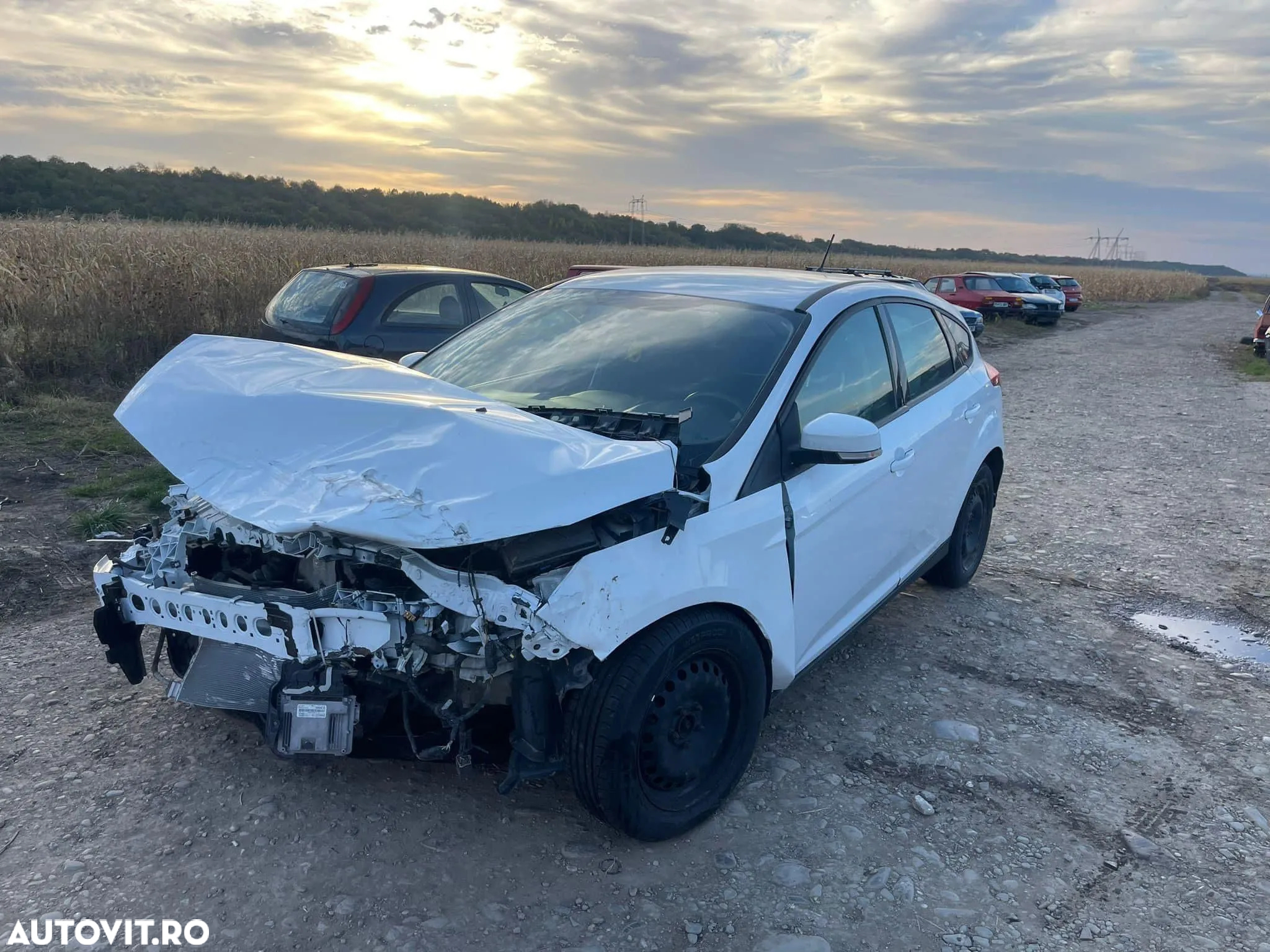 Dezmembrari Ford Focus 3 / 1.6 tdci / 2012 - 3