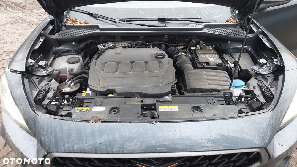 Cupra Formentor 2.0 TDI - 19