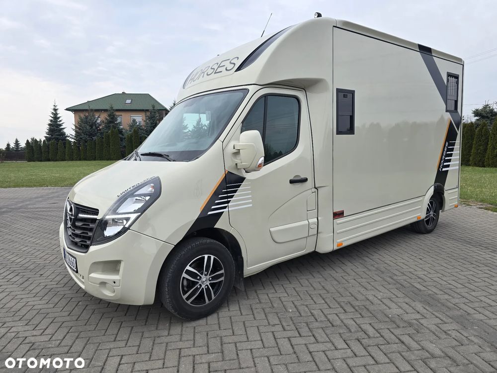 Opel Movano-Koniowóz - 5