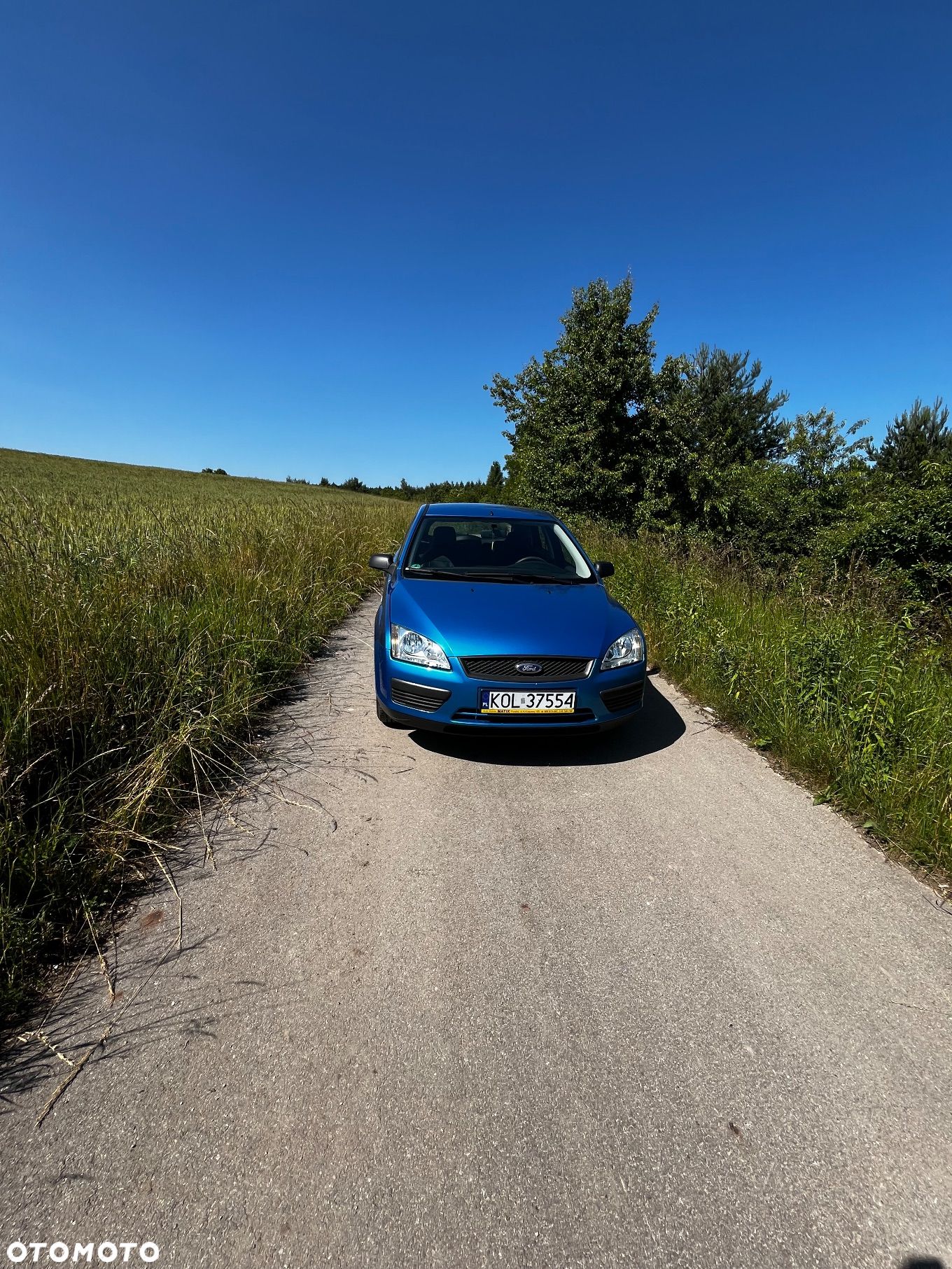 Ford Focus - 1
