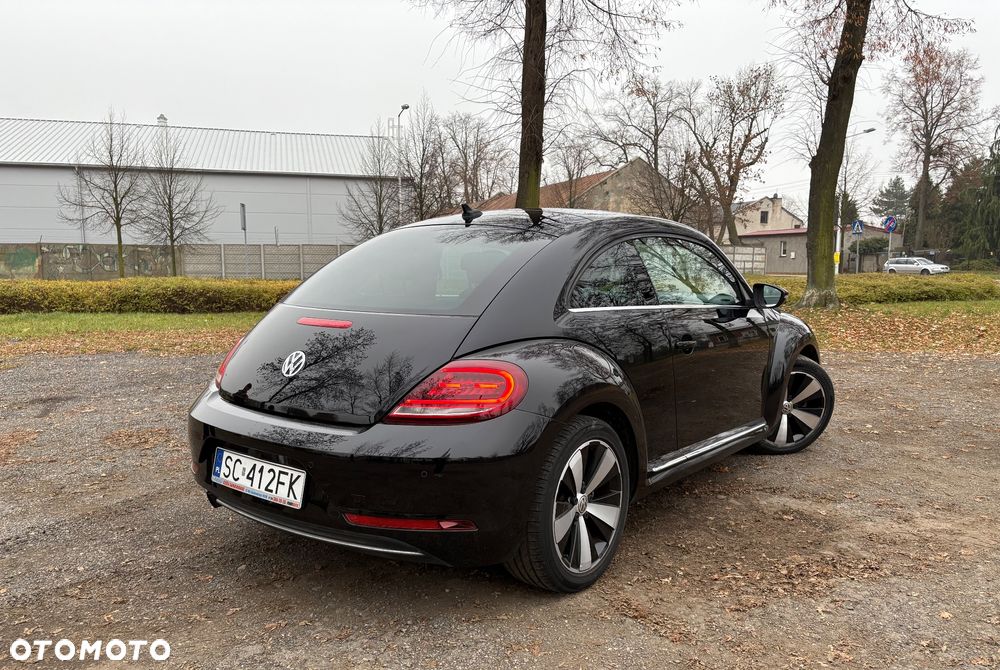 Volkswagen Beetle - 3