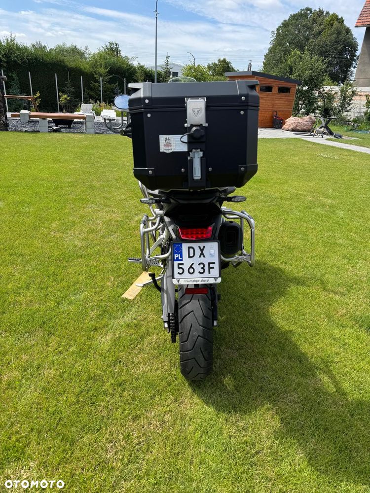 Triumph Tiger - 19