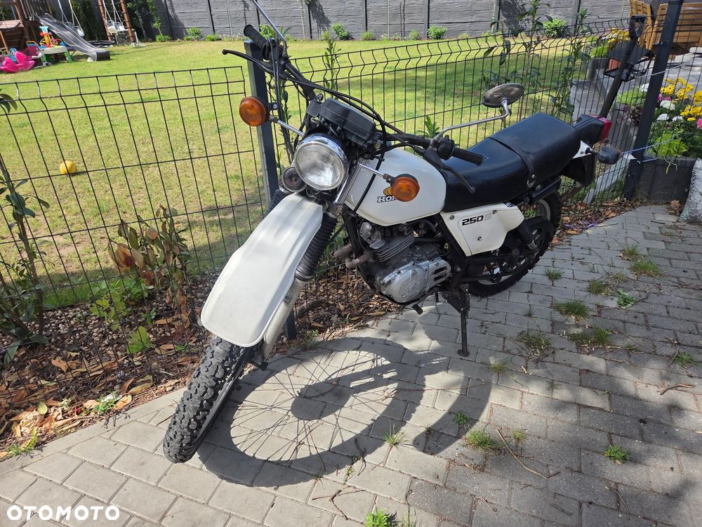 Honda XL - 3