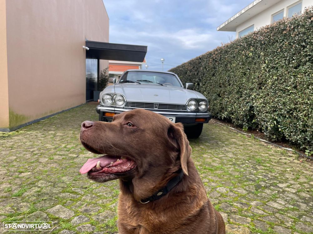 Jaguar XJS V12 Coupé - 17