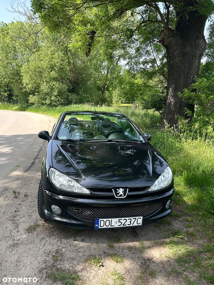 Peugeot 206 - 19