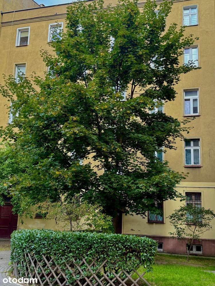 1pok. z możliwością zrobienia dwóch / Śródmieście