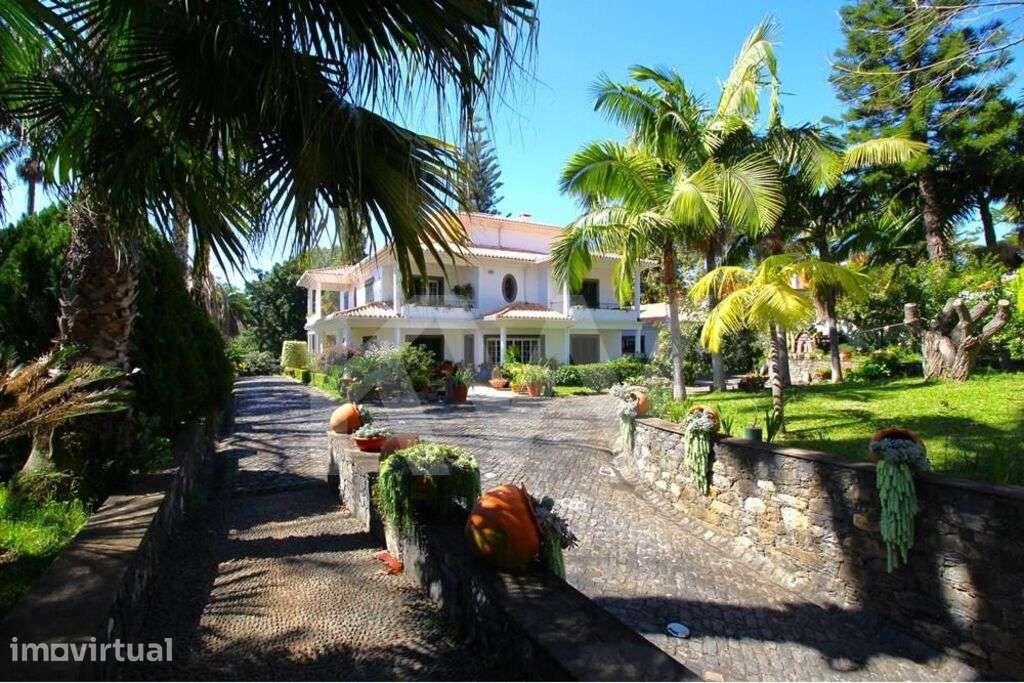 Esplêndida casa, ( 6 suites grandes), 4 salas grandes, 9 WC, cerca de - Grande imagem: 5/60