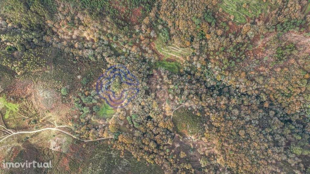 Terreno de 7335,92m2 com frente de ribeiro - Terras de Bouro, Braga - Grande imagem: 2/10