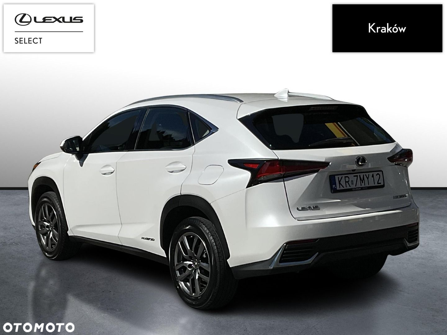 Lexus NX 300h Business Edition AWD - 3