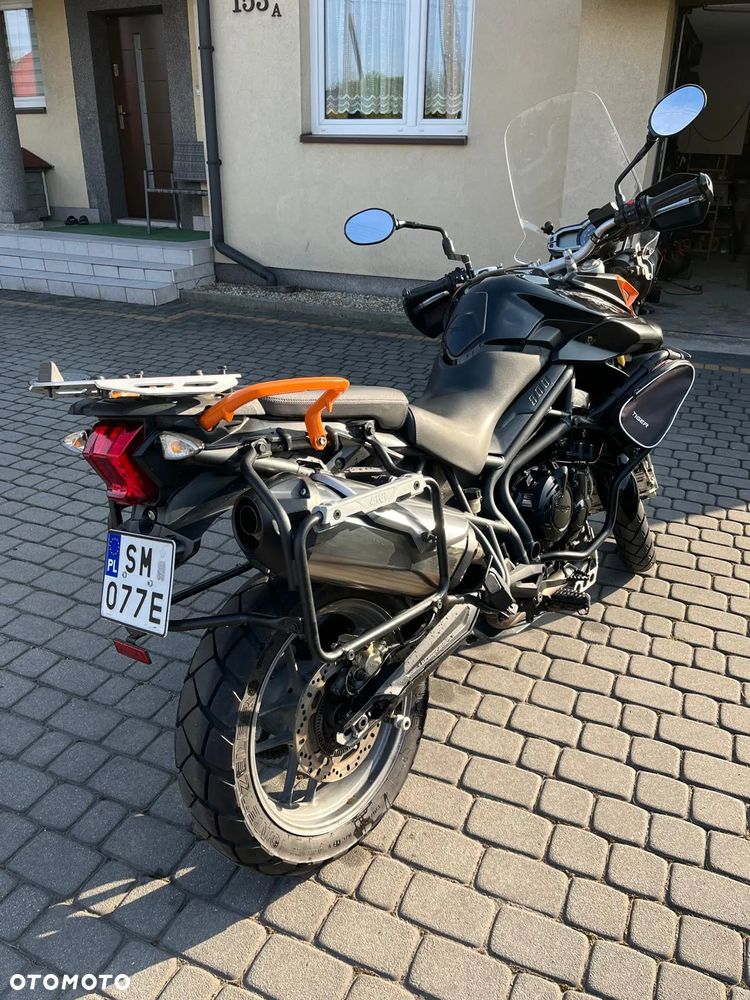 Triumph Tiger - 8