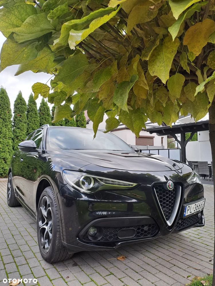 Alfa Romeo Stelvio 2.2 16V AT8 Q4 Ti - 6