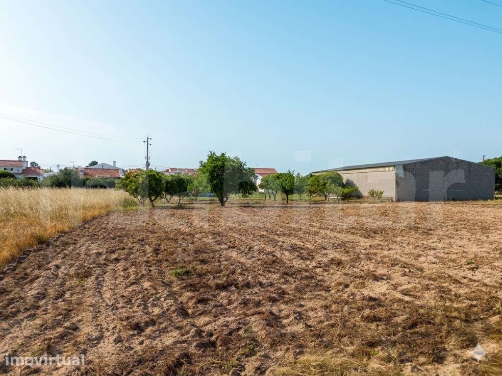 Terreno Urbano com 3.893 m², com Armazém com 288 m² - Benavente - Grande imagem: 3/16