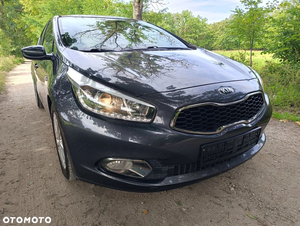 Kia Ceed 1.6 CRDi 128 Fifa World Cup Edition - 12