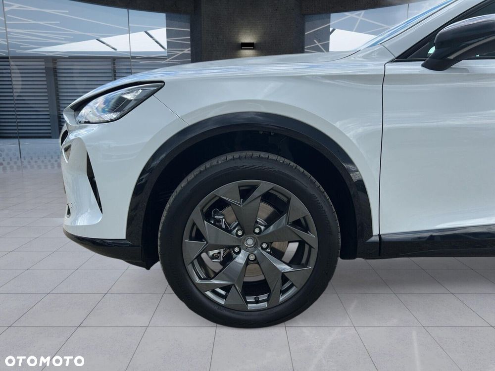 Cupra Formentor 2.0 TSI 4Drive DSG - 33