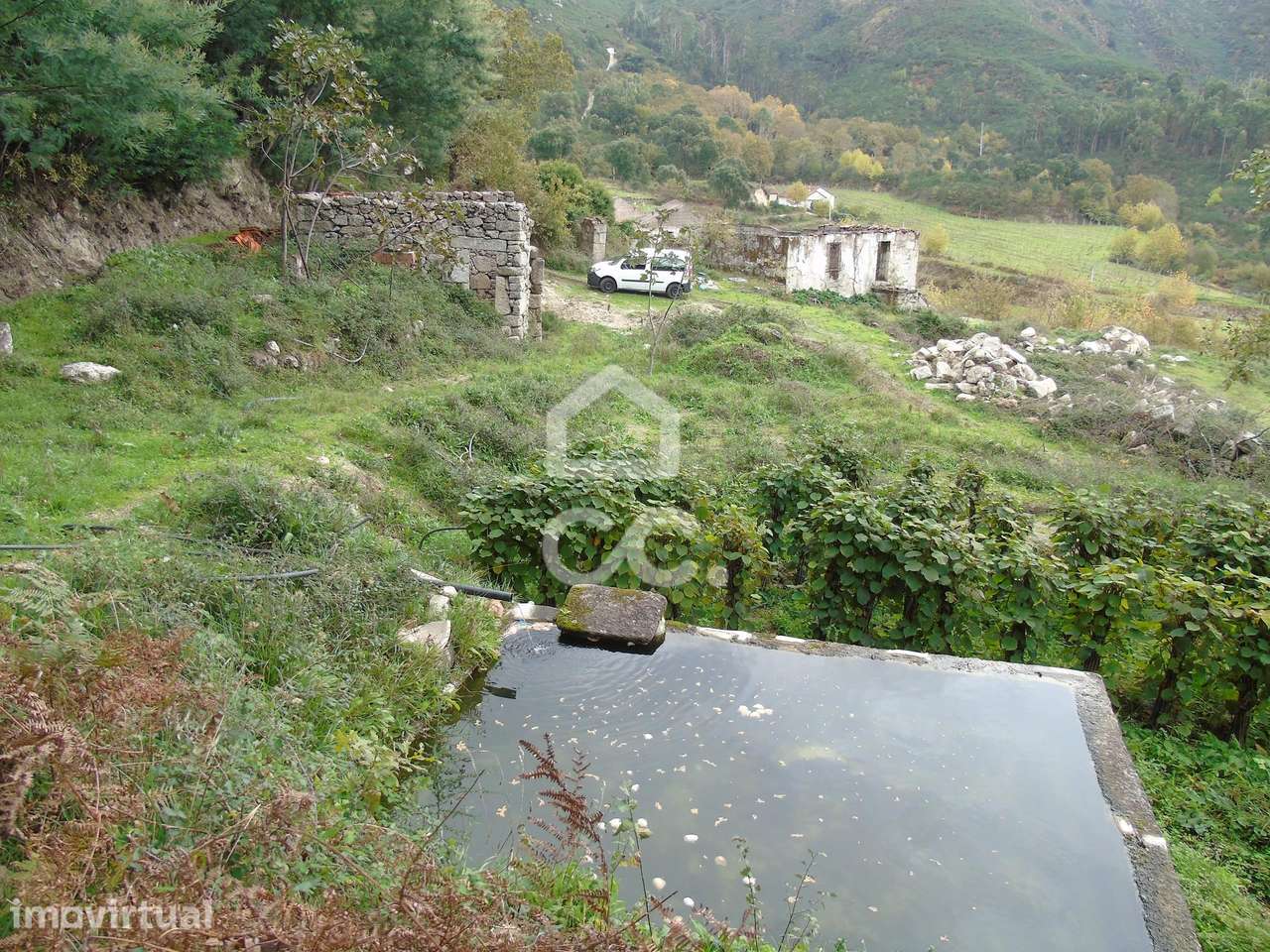 Quinta em Vale de Bouro - Celorico de Basto -  preparada para plantaçã - Grande imagem: 2/25