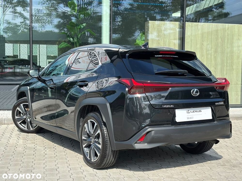 Lexus UX 250h GPF Business 2WD - 11