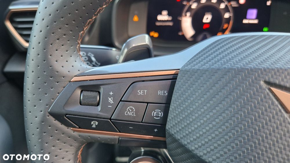 Cupra Formentor 2.0 TSI 4Drive DSG - 15