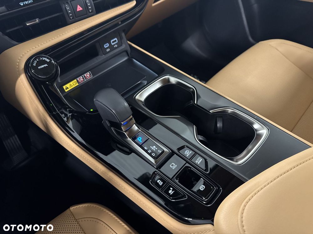 Lexus NX - 21