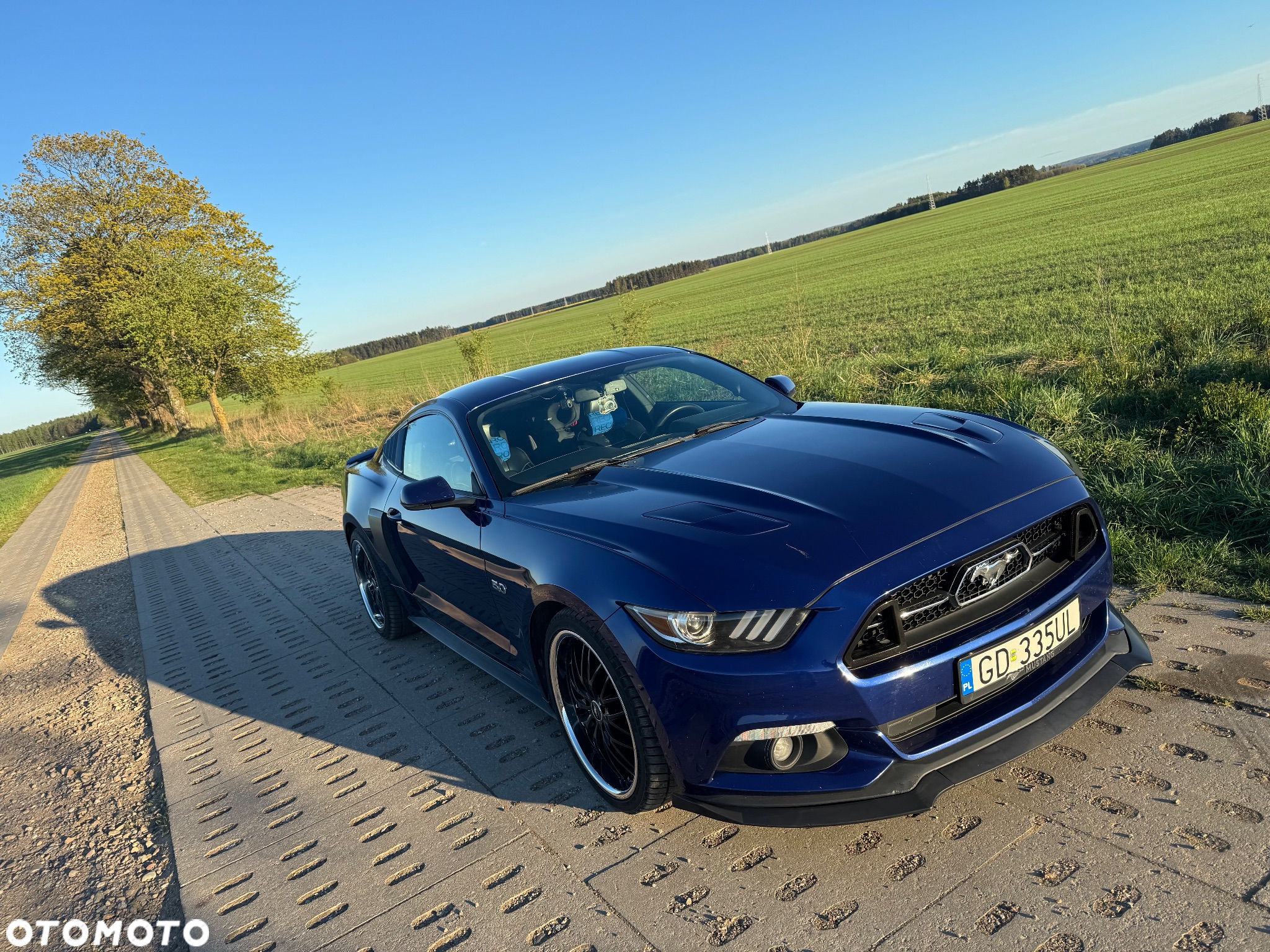 Ford Mustang 5.0 V8 GT - 30