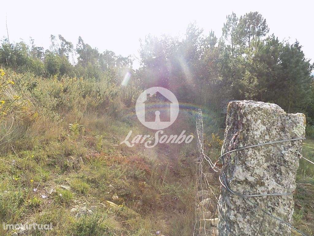 Terreno rústico com 6247m2 em Arnoso Sta. Eulália, Vila Nova Famali... - Grande imagem: 4/4