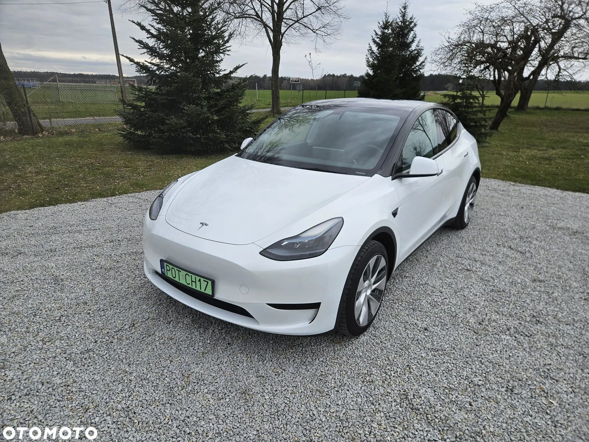 Tesla Y Model RWD - 1