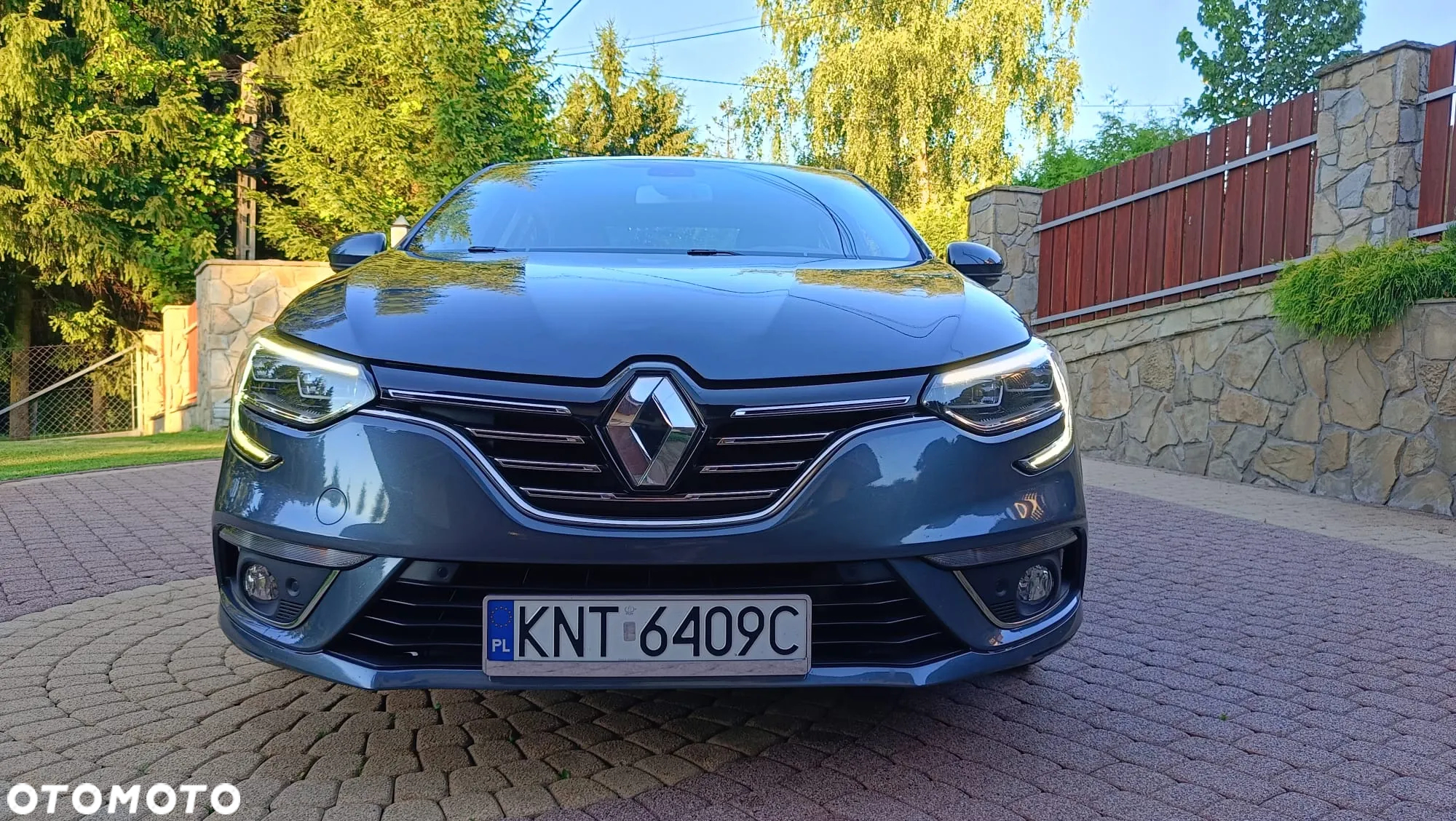 Renault Megane - 25