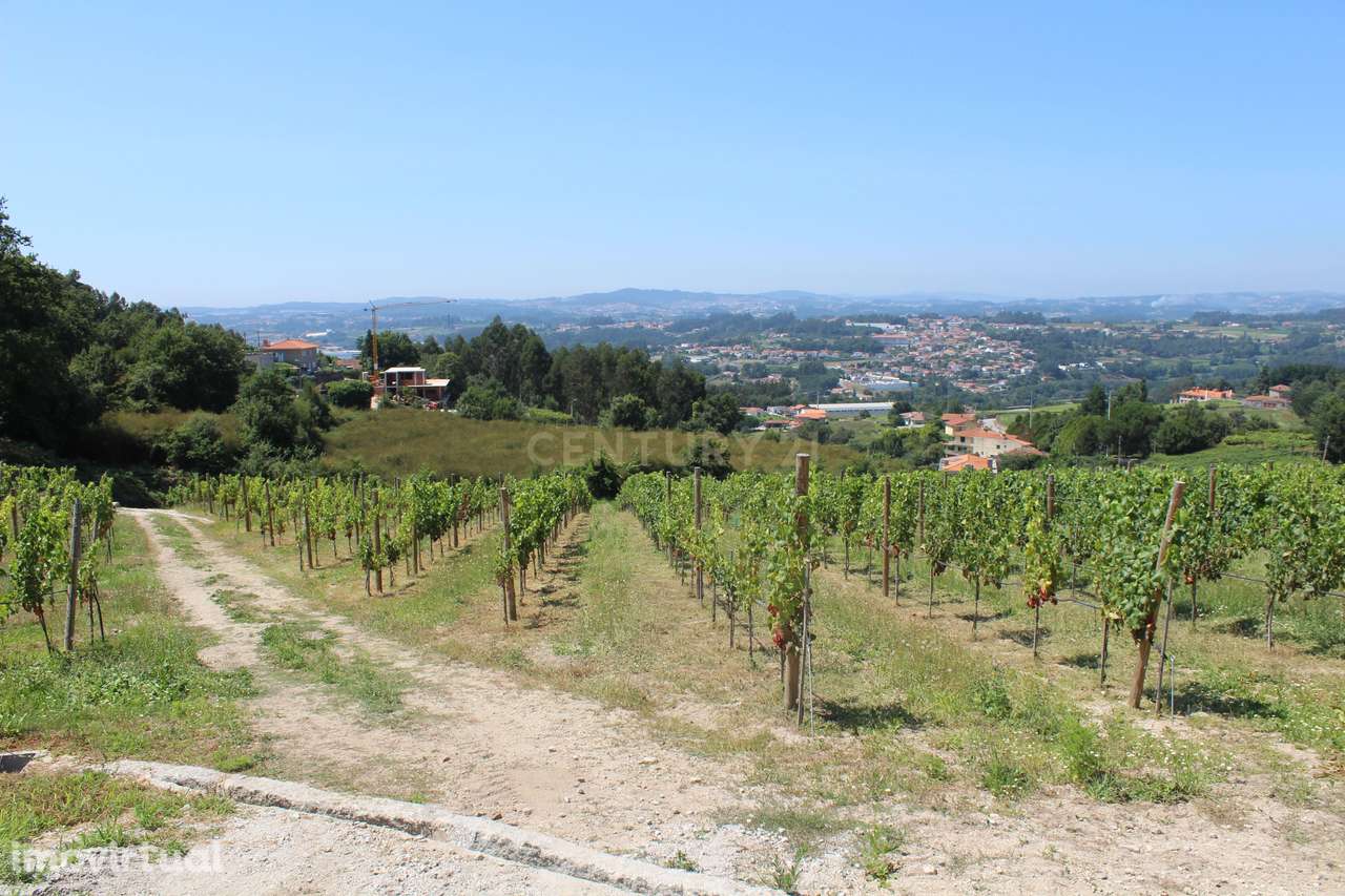 Quinta da Cerqueda, Santo Tirso - Grande imagem: 4/54