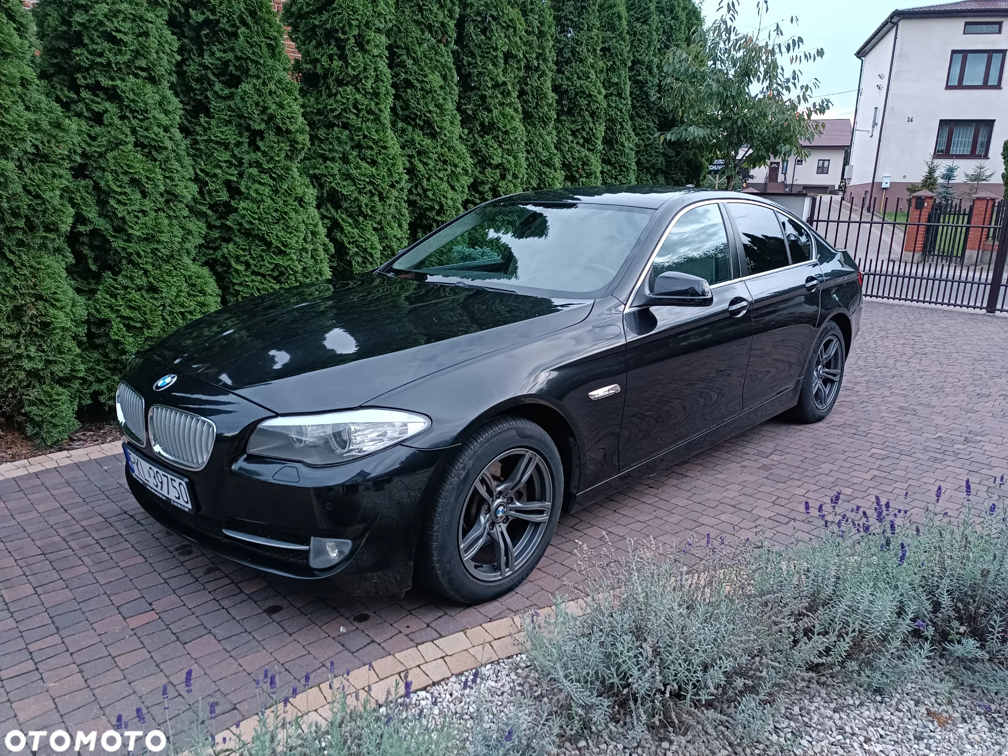 BMW Seria 5 520d - 25