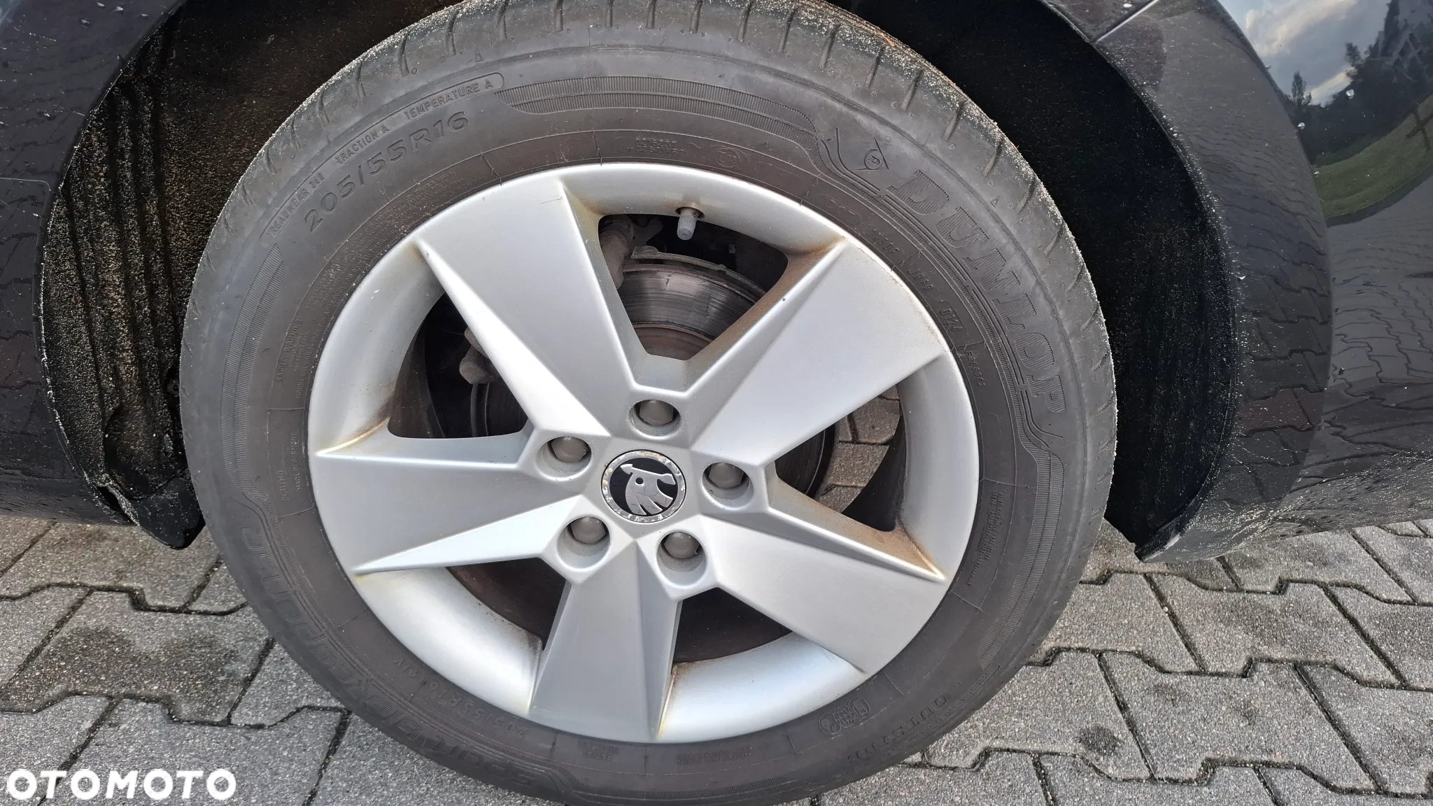 Skoda Octavia 1.6 TDI Greenline - 13
