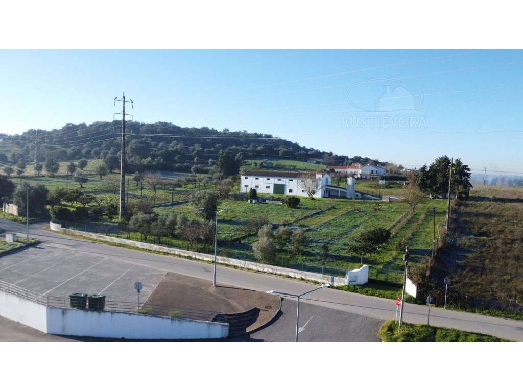 Quinta com armazém de 2 pisos - Grande imagem: 3/42