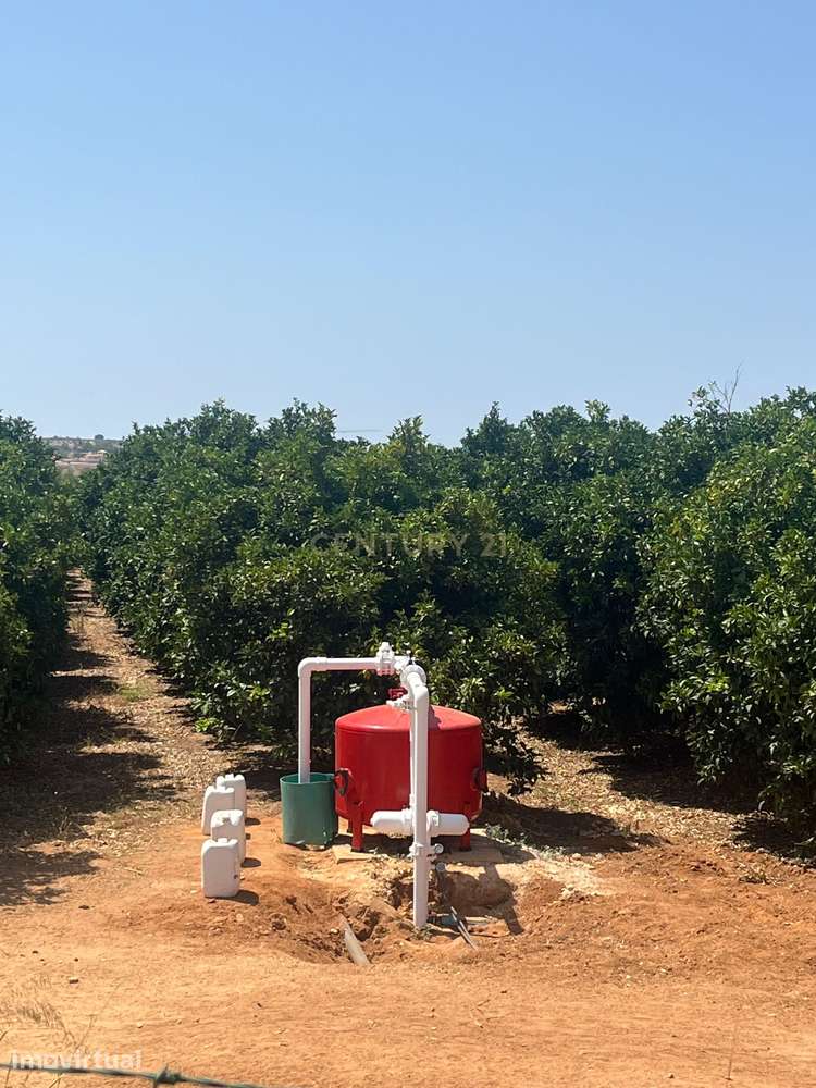 Quinta com 208.790m2, em  Plena produção de Citrinos, e estufas, com e - Grande imagem: 4/22