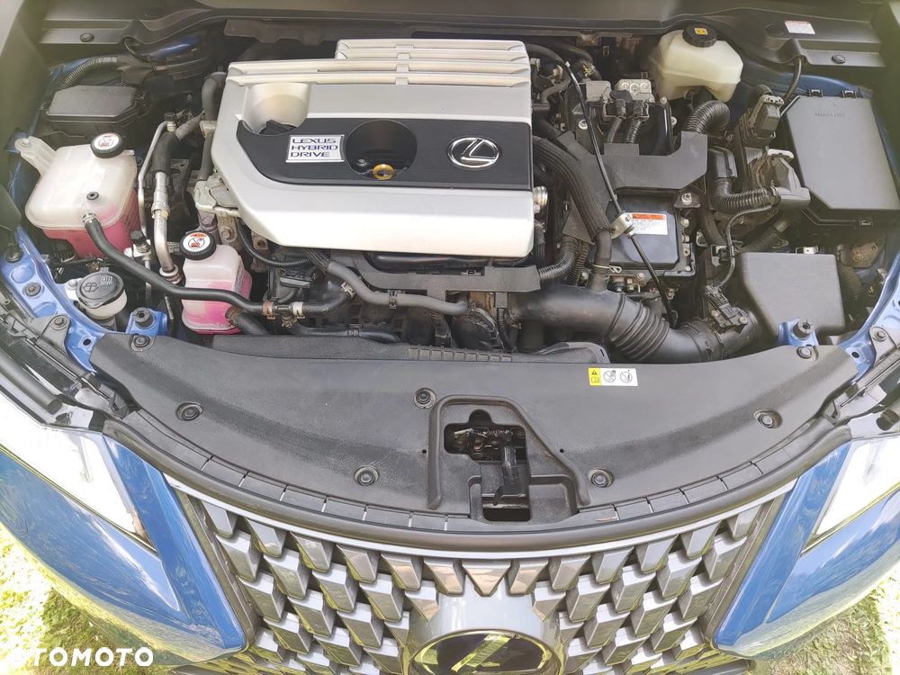 Lexus UX 250h GPF Omotenashi AWD - 14