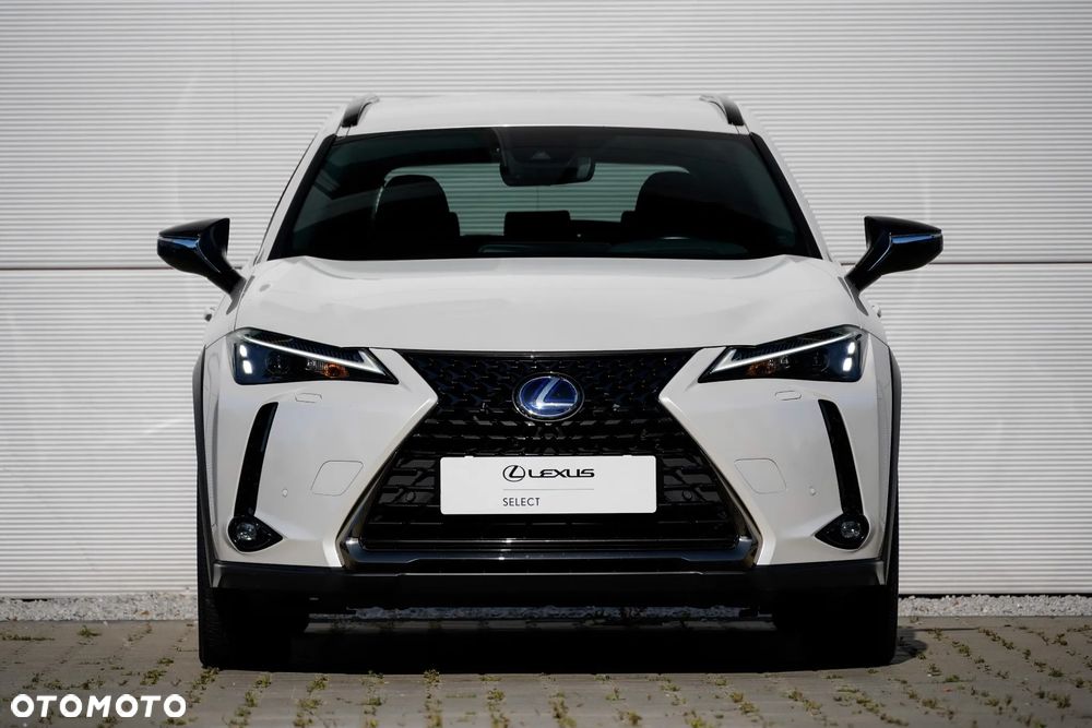 Lexus UX 250h GPF F Impression 2WD - 20