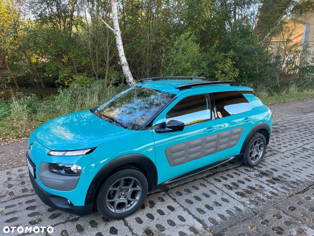 Citroën C4 Cactus PureTech 110 Stop&Start Shine - 12