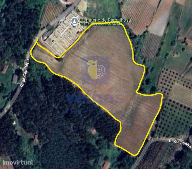 Vinha na Ramalhosa - Alvorninha - Grande imagem: 2/7