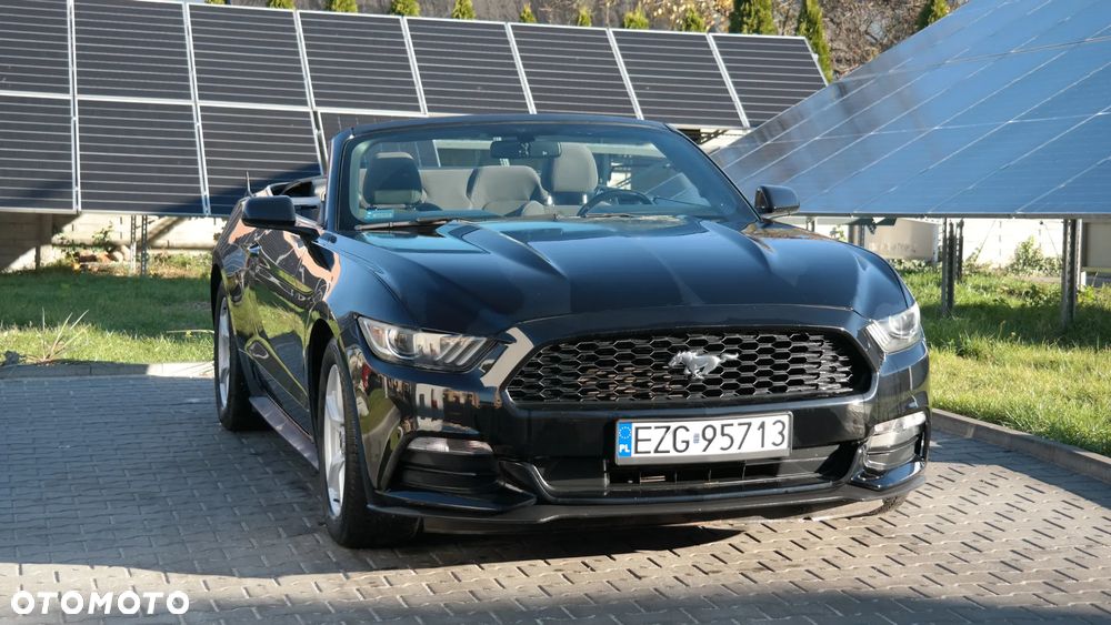 Ford Mustang 3.7 V6 - 16