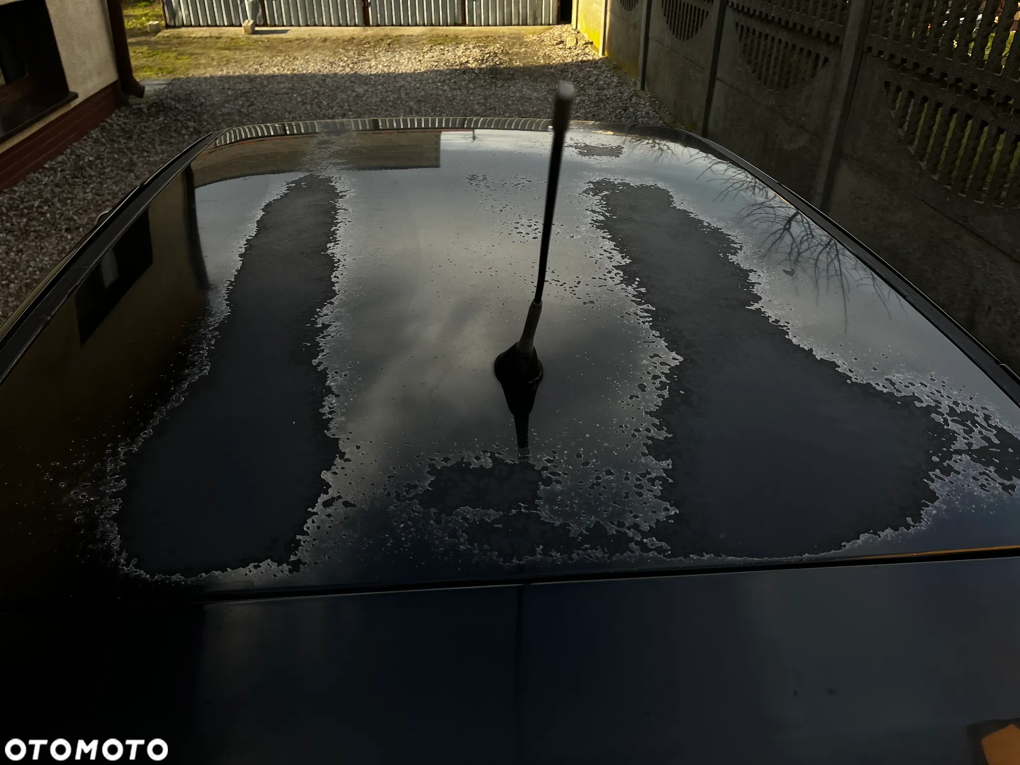 Seat Ibiza - 9