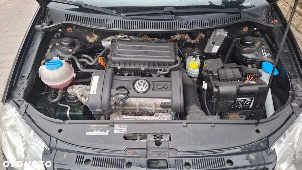 Volkswagen Polo - 19