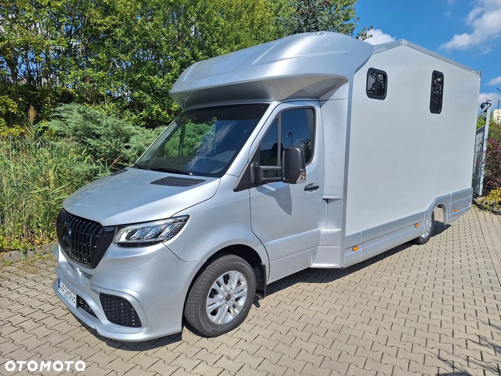 Mercedes-Benz Sprinter 319 - 11