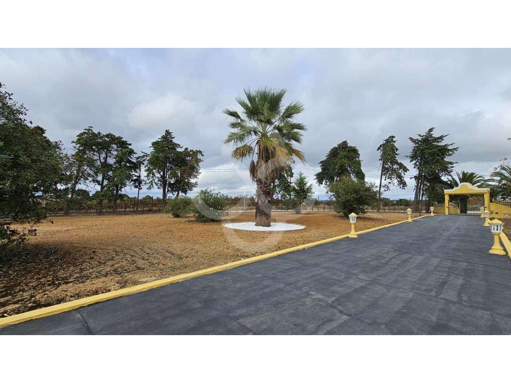 Quinta 2,4 hectares com moradia T5 em Aveiras de Cima Azambuja - Grande imagem: 5/46