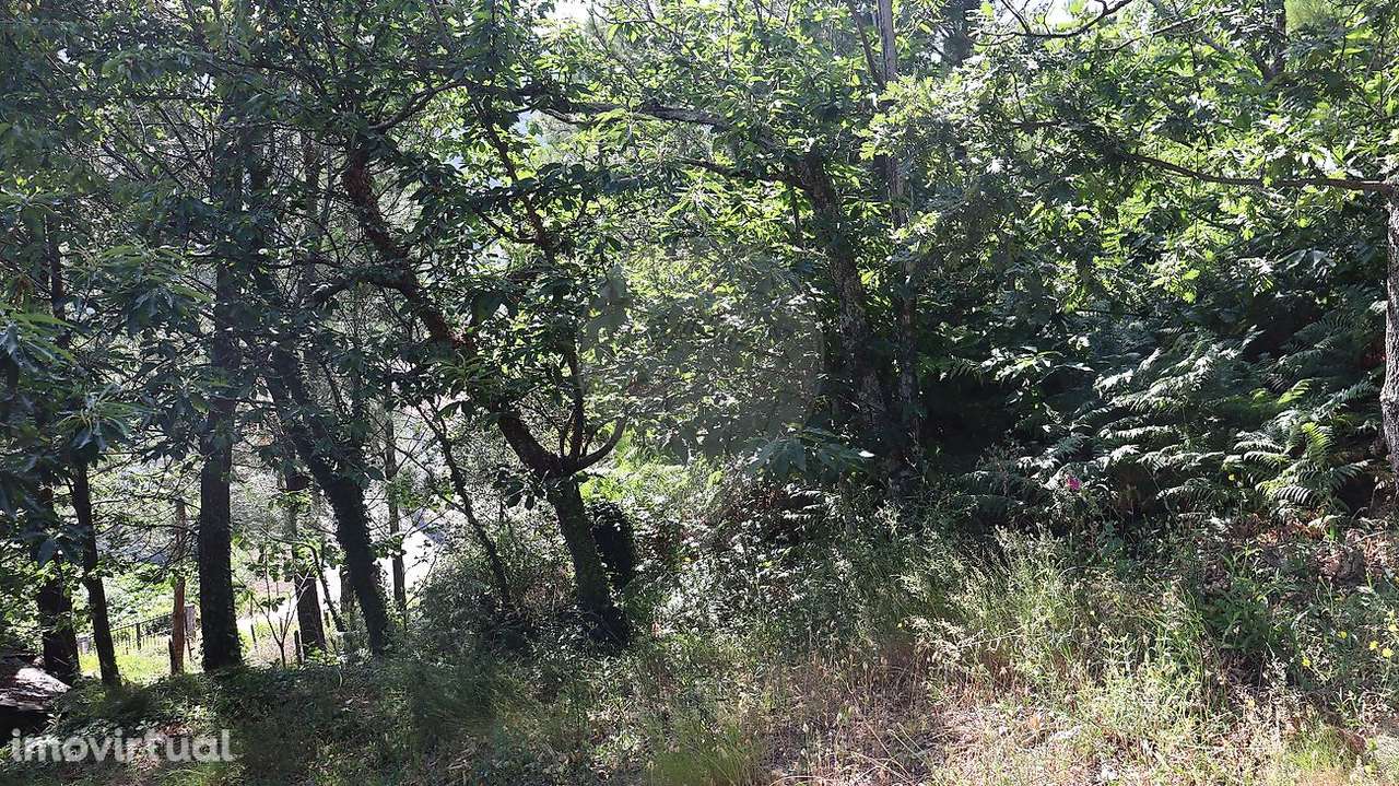 Terreno  para venda - Grande imagem: 3/9