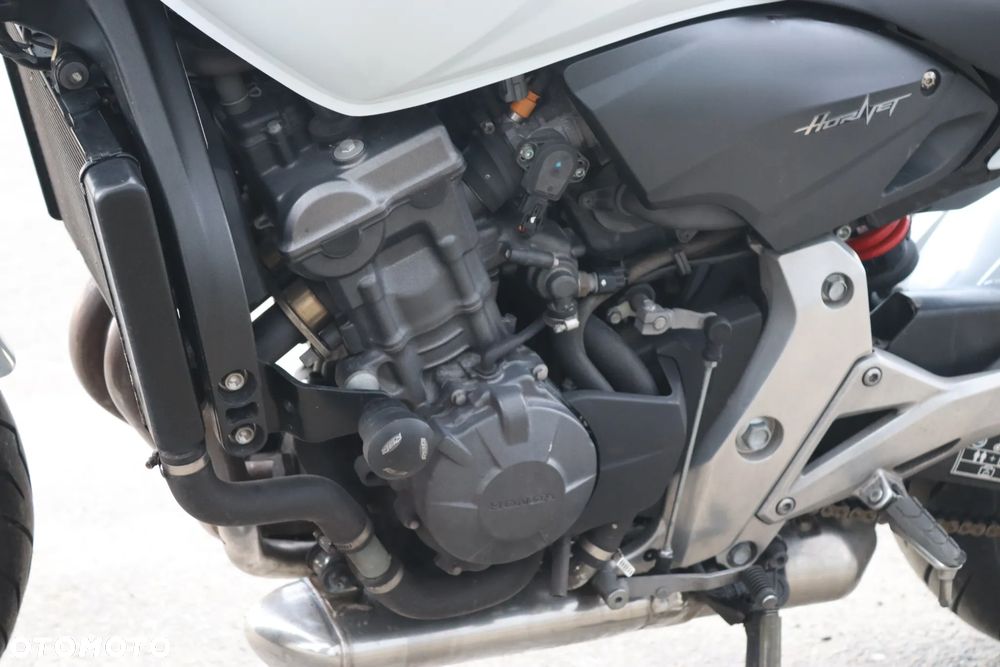 Honda Hornet - 8