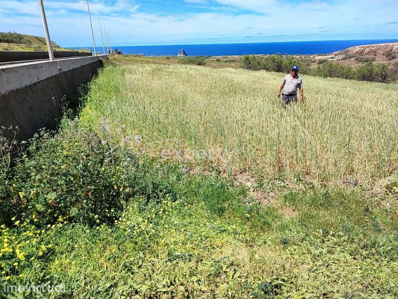 Terreno no Porto Santo com 4160m2 - Grande imagem: 4/7