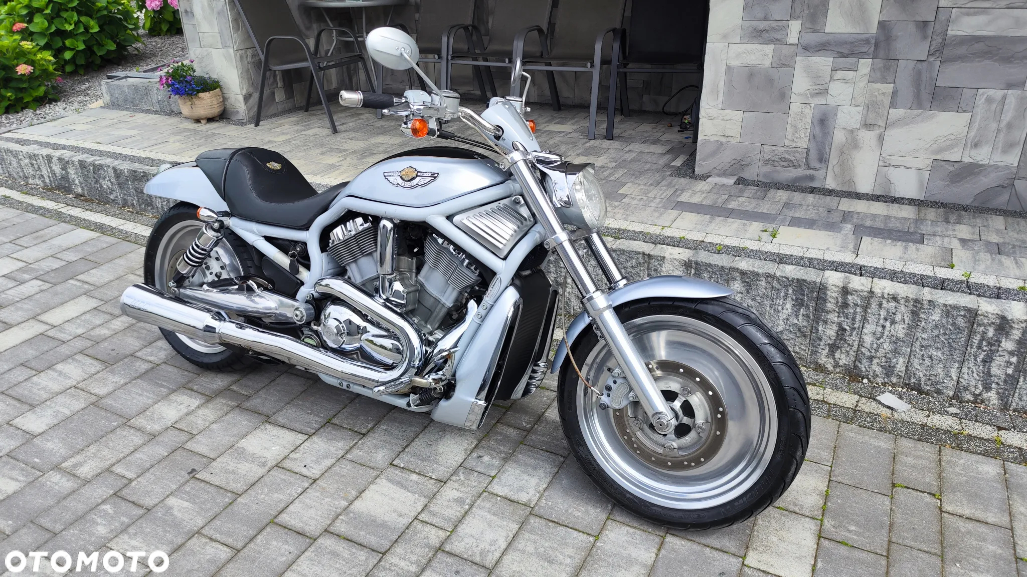 Harley-Davidson Softail V-Rod - 32
