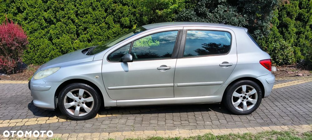 Peugeot 307 1.6 Oxygo - 14