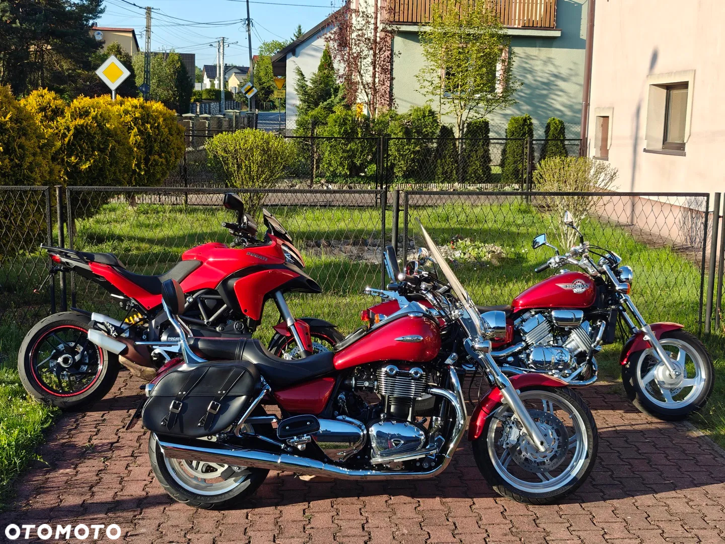 Triumph Thunderbird - 21