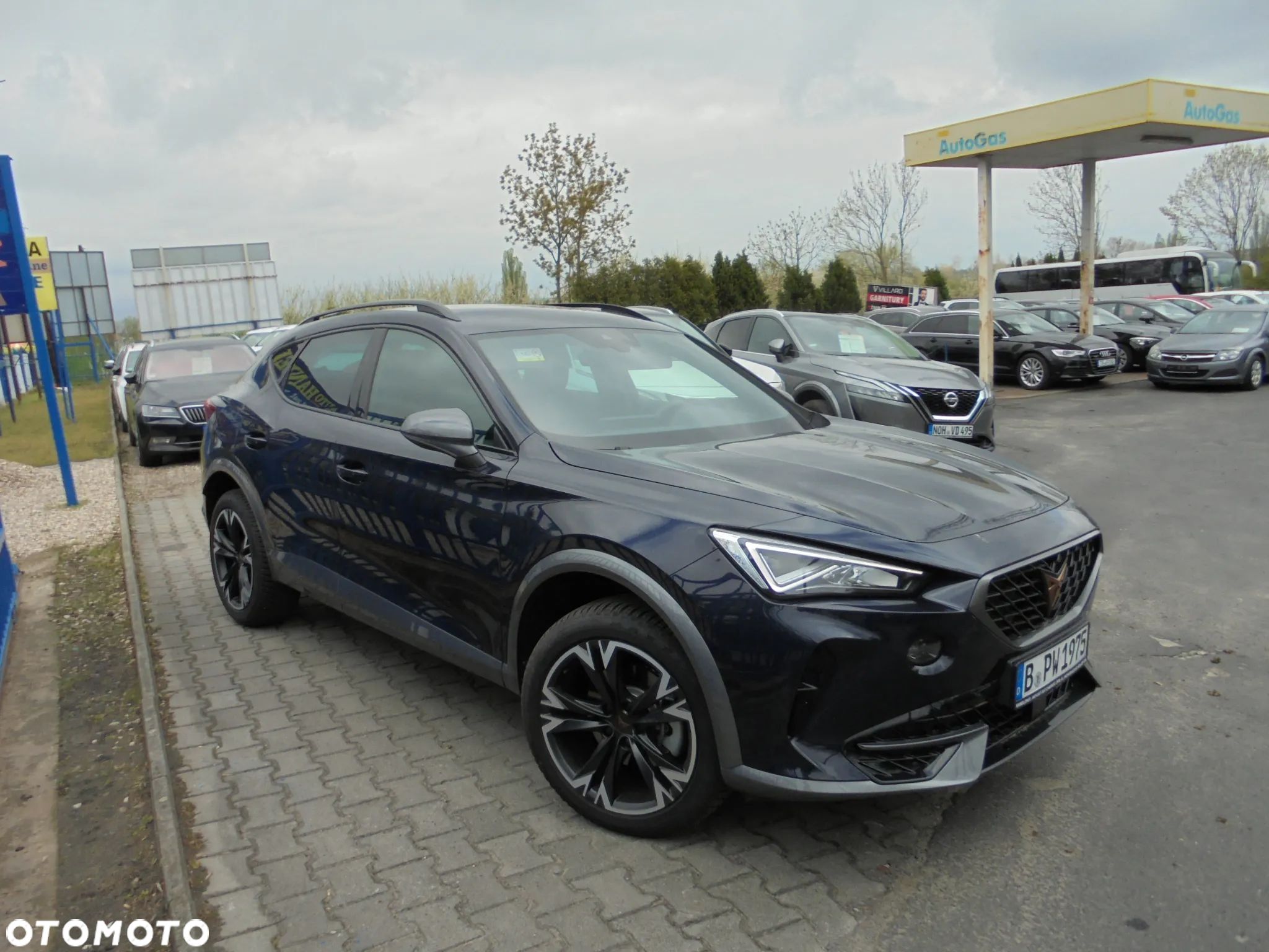 Cupra Formentor 1.5 TSI DSG Tribe Edition - 1