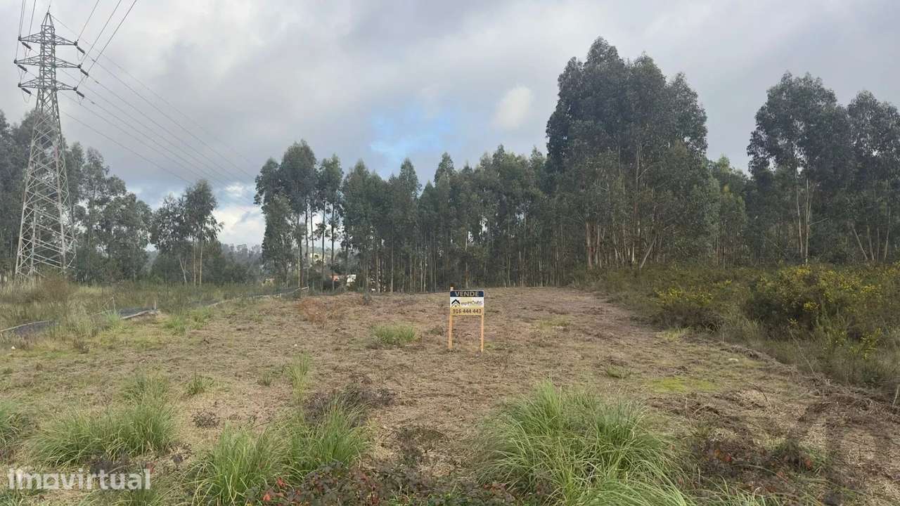 Lote industrial em Sanguedo, Santa Maria da Feira - Grande imagem: 2/7